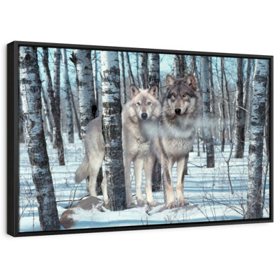 Snow Shadows Canvas Print