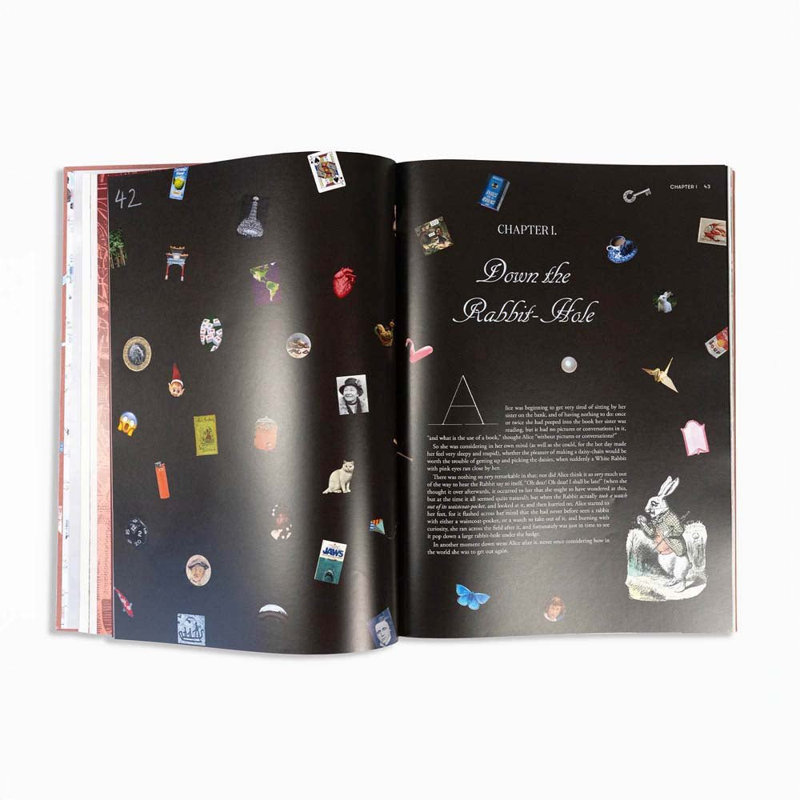 Alice in Wonderland Art NovelTM