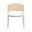 Daishun Ervilla Dining Chair-201658530-237777871