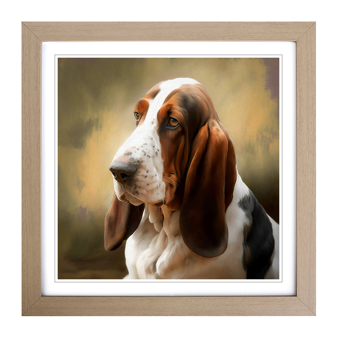 Basset Hound Digital Art - Framed Print