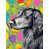 Flat-coated retriever sélectionné