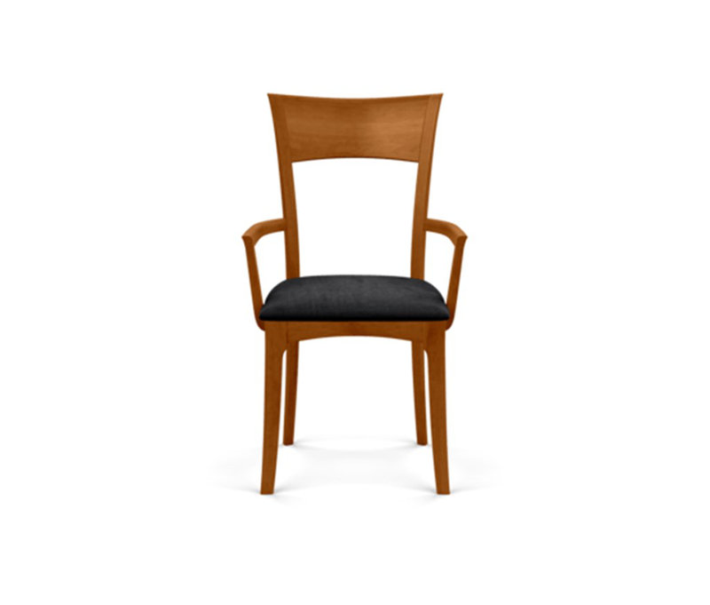 Ingrid Upholstered Arm Chair, Autumn Cherry, Microseude Onyx