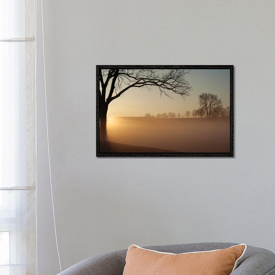 Sonnenaufgang im Valley Forge National Park von Austin - Galerie-verpackte Leinwand Giclée auf Leinwand