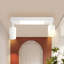Shinako Spotlight-741480280