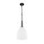 Luminaire suspendu 1 lumière Naya-1914542043-1914542021