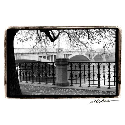 " Riverview " by Laura DeNardo