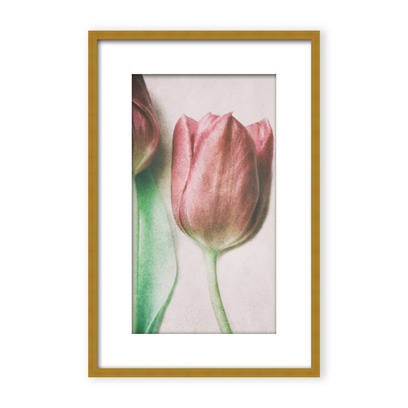Nature Inspired The Spring Lovers by  - Picture Frame Graphic Art on Paper, 36" H x 24" W x 1.125" D, Framed Matted Print