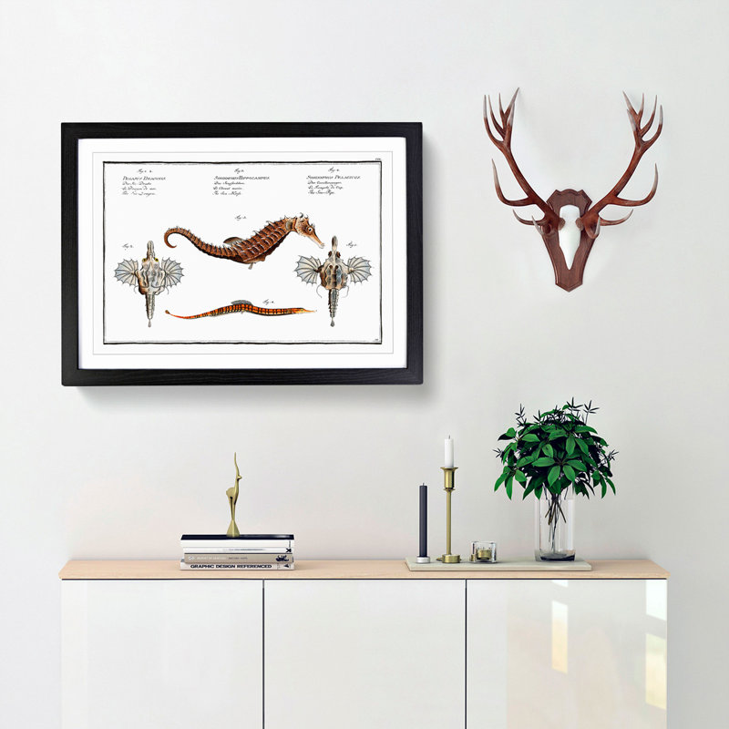 Seahorse & Sea Dragon by M.E. Bloch - Picture Frame Painting Print, Black Framed, 36cm H x 48cm W x 2cm D
