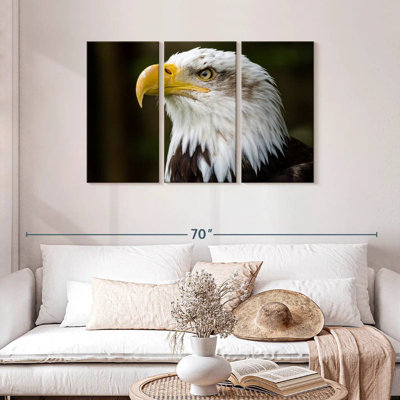 Brampt Fierce Bald Eagle
