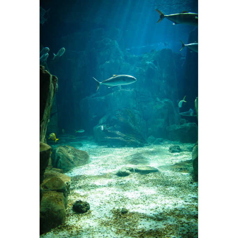 Saltwater Aquarium With Tropical Fish by Themacx - No Frame Print on Canvas, 122cm H x 81cm W