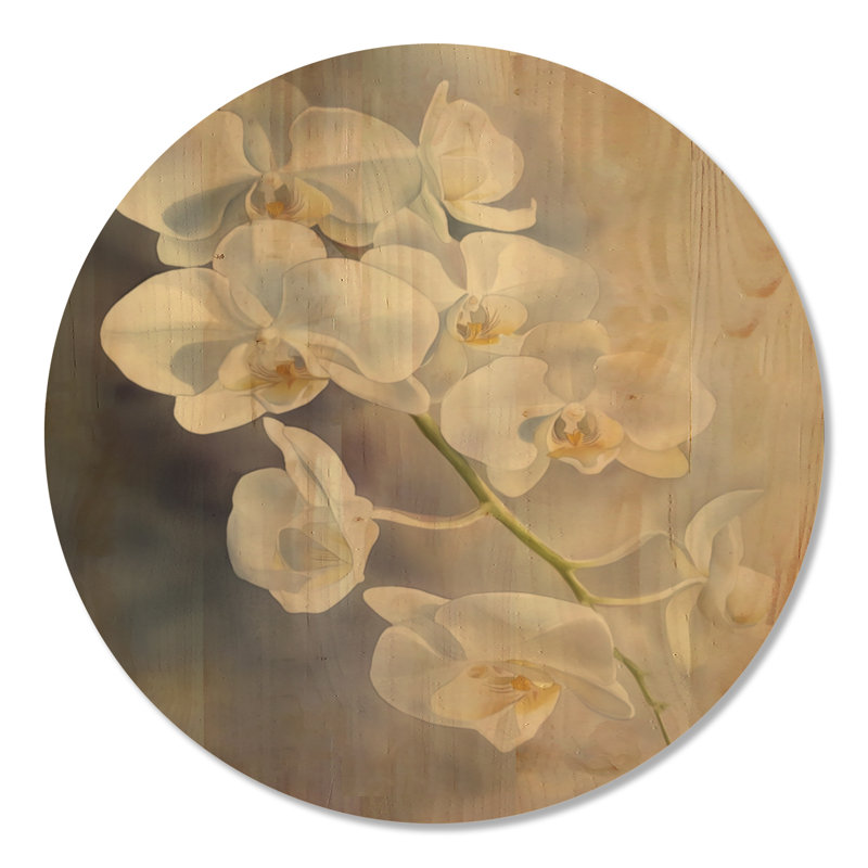 Orchidée en cascade sur fond blanc, Rond 36 po, Rond