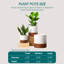 FLHPOT Ceramic Pot Planter-1957853568