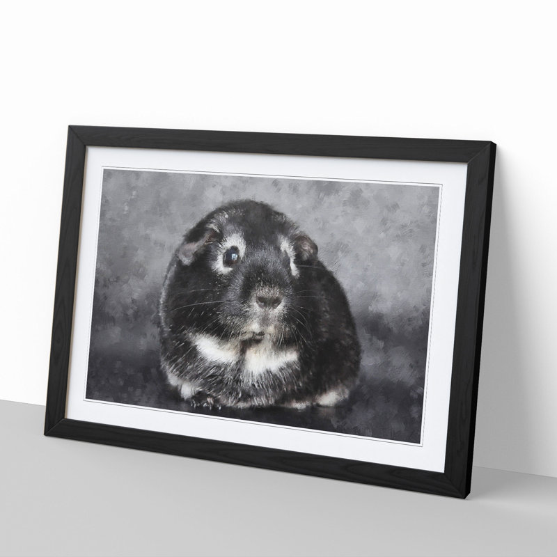 Guinea Pig - Framed Print, 48cm H x 65cm W x 2cm D, Black Framed