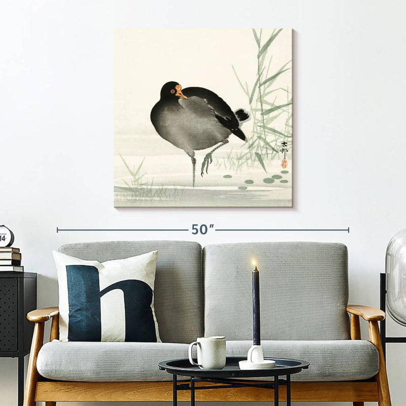 Aldoris Moorhen