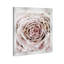 Oliver Gal Artisans - Peinture-68785220-68785225