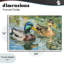 «Ducks Out For A Swim», estampe numérique, design par Petal Prints Design-130750656-130750658