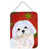Bichon maltais 2