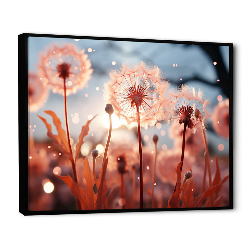 «Delicate Calm Dandelion Serenity III - Autre plante et fleurs», art mural, Cadre flottant noir, H 34 po x l 44 po x P 1,5 po