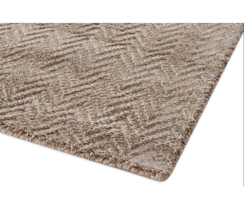 Pavo Tencel Chevron Area Rug in Beige, Rectangle 10' x 14'