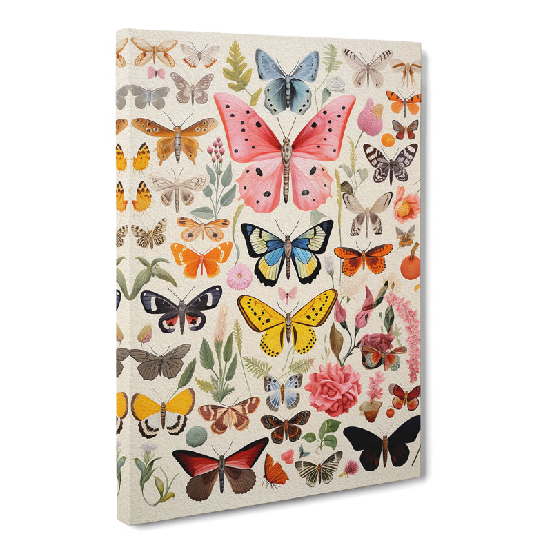 Moth Colour Field - Wrapped Canvas, 76cm H x 50cm W x 3cm D