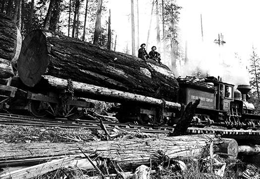 Transporting Fallen Old Growth by Darius Kinsey Photographic Print, 44" H x 66" W x 1.5" D