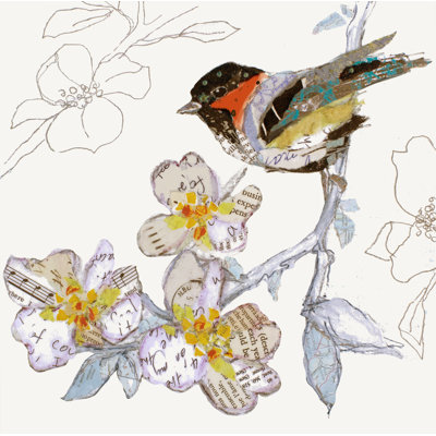 Mésange à tête noire