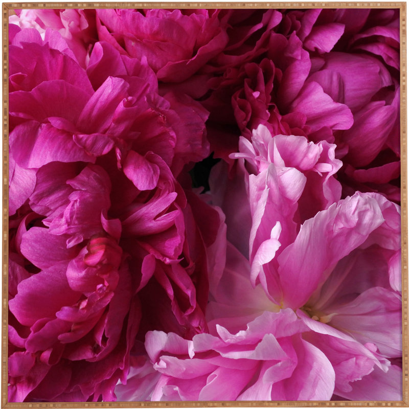 « glamour rose pivoines », reproduction de photo, H 30 po x l 30 po x P 1 po, Cadre satiné