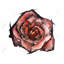 «Watercolor Rose», reproduction sur toile