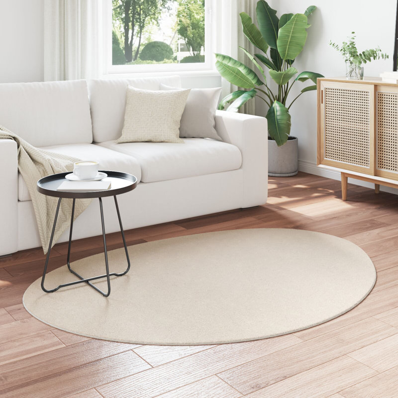 Rugs Beige Accent Rug Minimalist, Polyester, Novelty 100 x 200 cm