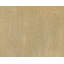 Aurora Area Rug in Gold-40705914