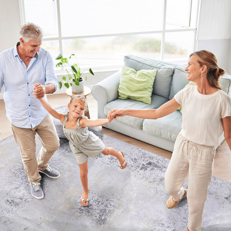Washable Low-pile Runner Rug 2'6''x10', Non-slip For Bedroom, Stain , & Pet - Gray/gold 2'6''x10' Area Rug, Non-shedding Machine Living Room, Kitchen Gray