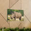 Wall Art on Canvas-992754939