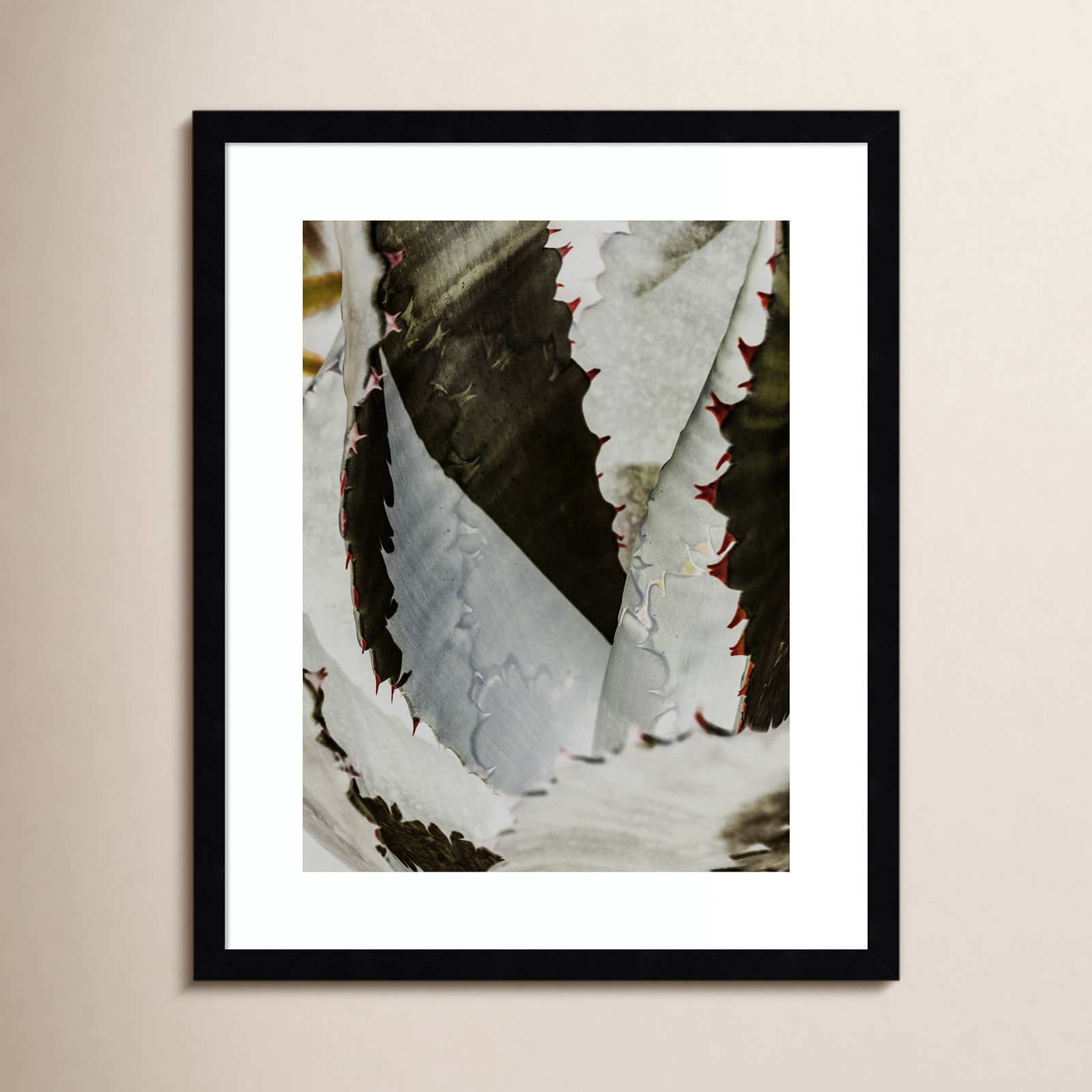 Daisey "Nova" Print by Shot by Clint, Black, 21" H x 17" W
