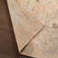 Everly Ilumina EVE10 Handknot Oriental Orange Area Rug-179825408
