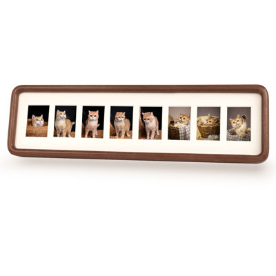 Edrina Wood Beveled Picture Frame