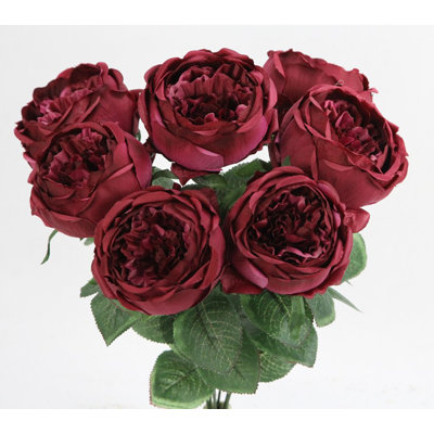 Buisson de roses en pleine floraison