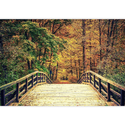 Autumn Fall Yellow Tree Forest Bridge