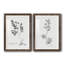 Botanical Imprint I - Ensemble de 2 peintures encadrées-851560819-851560816