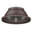 Skye Flush Mount-1152569244