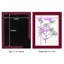 Indigo Botany Study III - reproduction de cadre photo simple-387526985-387526994