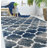 Delaili Performance Oriental Indoor Rug-722833371