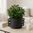 Modern Round Pottery and Cement Planter with Arch Handle for Outdoor Patio - Decorative Indoor Flower Pots for Living Room and Home Decor-946573012-946573015