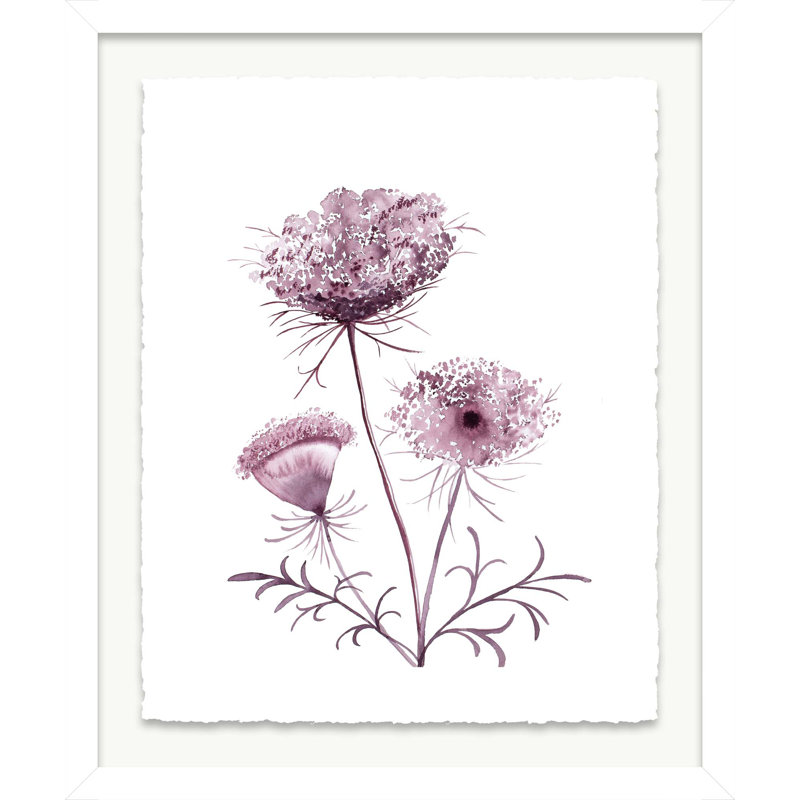 Queen Anne's Lace No. 19