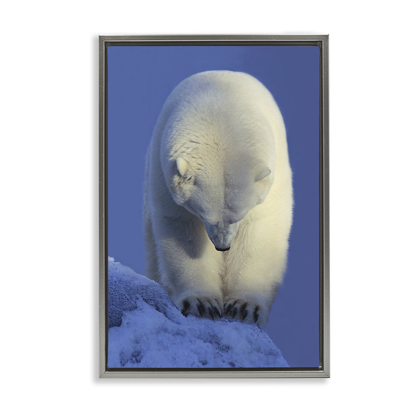 Toile flottante encadrée «Contemplation» par Shane Lamb, Cadre flottant gris lustré, H 31 po x l 21 po