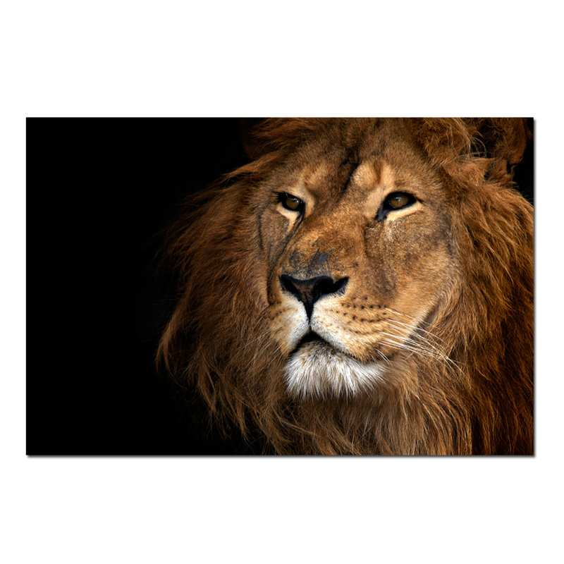 Prideful Lion Print, 40" H x 60" W x 1.5" D