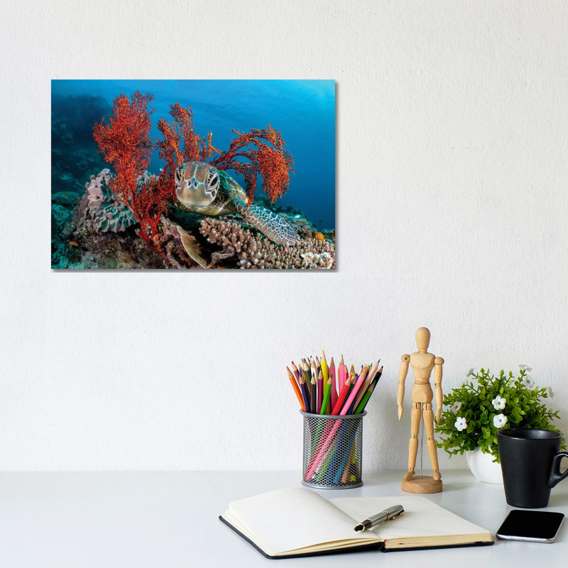 The Resting Place by Jordan Robins - Wrapped Canvas Print, 20.32 cm H x 30.48 cm W