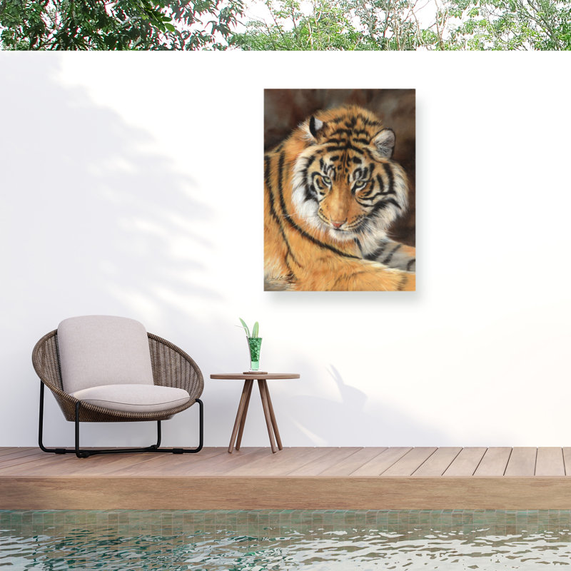 Toile d'extérieur David 10 Stribble Tiger 10, H 35 po x l 47 po