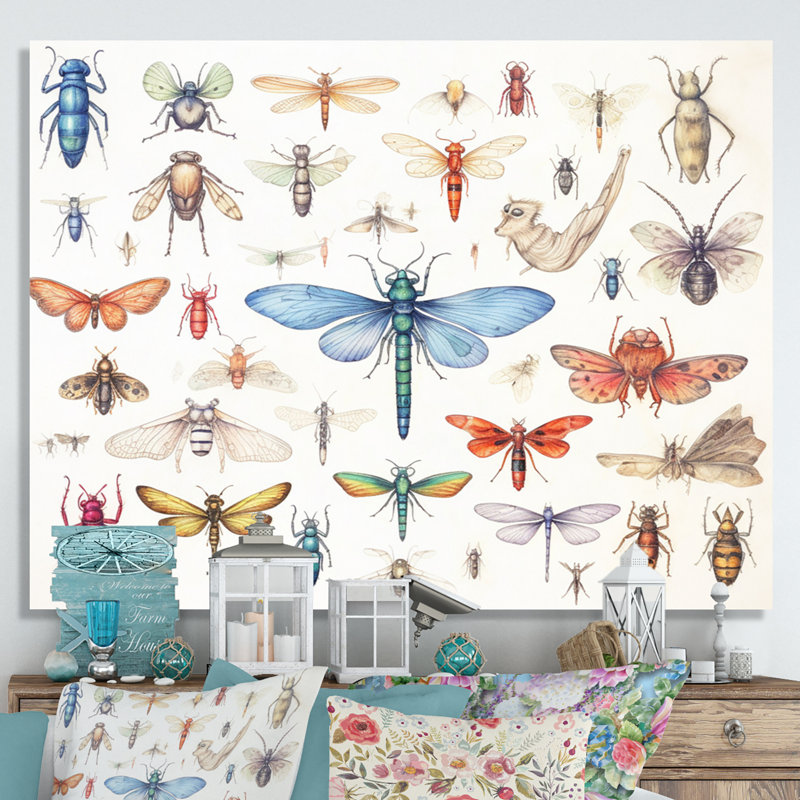 «Tiny Insect Wonders I», reproduction sur toile, H 12 po x l 20 po x P 1 po, Toile tendue