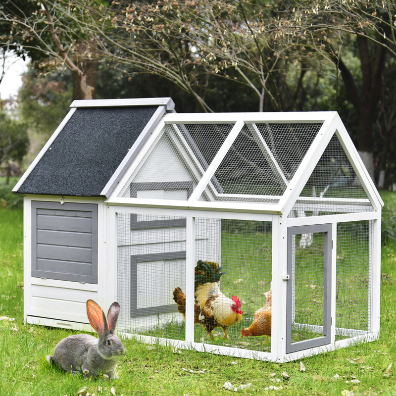Lilbourn Weather Resistant Rabbit Hutch