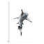 «Shark III», impression sur toile tendue-74874091-22637936